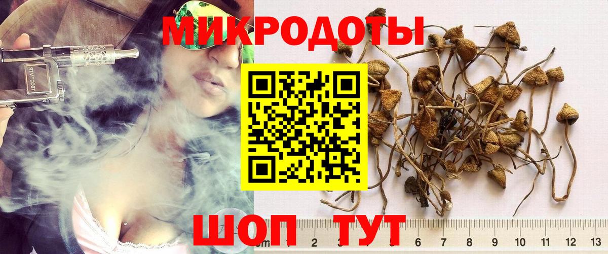 Псилоцибиновые грибы мухоморы Моздок